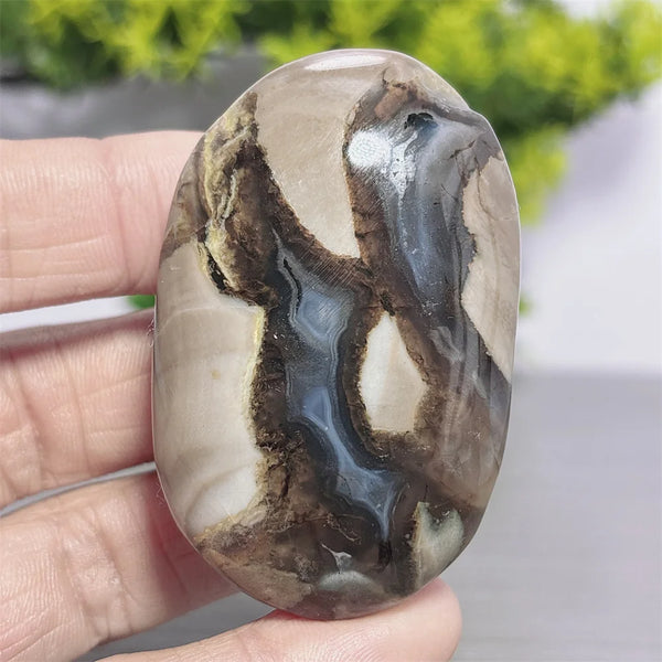 Fire Agate Palm Stone-ToShay.org