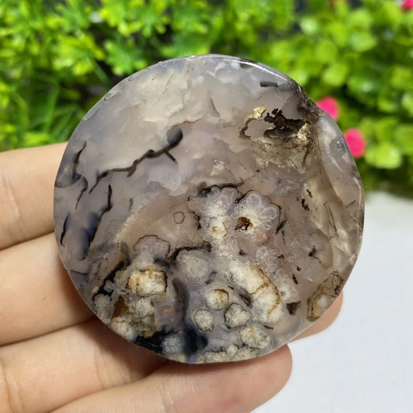 Black Agate Slice-ToShay.org