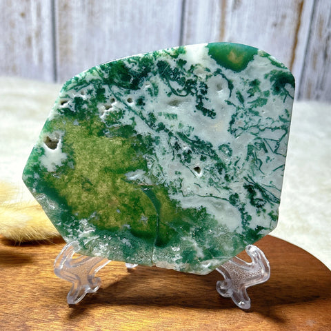 Green Moss Agate Slice-ToShay.org