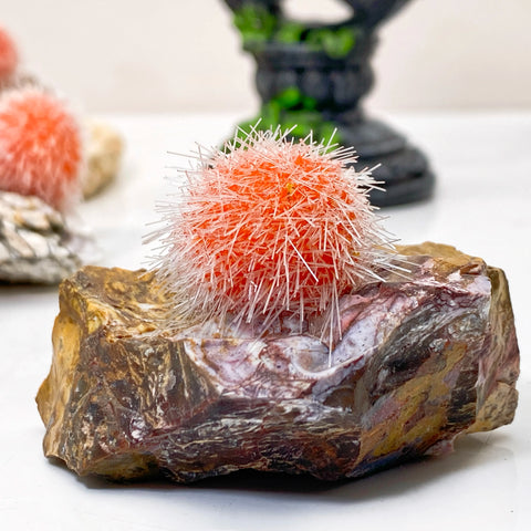 Orange Zeolite Mineral Cluster-ToShay.org