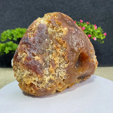 Yellow Honeycomb Agate-ToShay.org