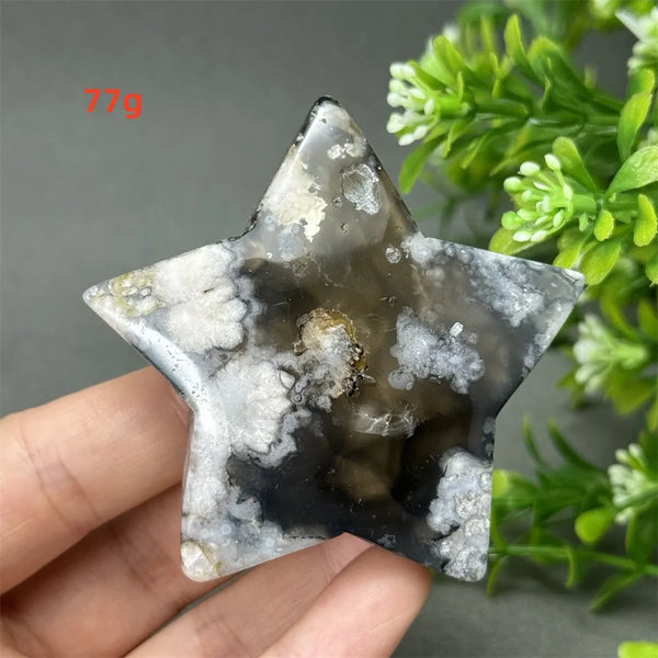 Black Cherry Blossom Agate-ToShay.org