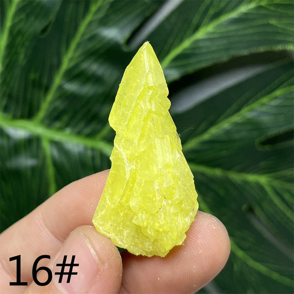 Yellow Sulfur Clusters-ToShay.org