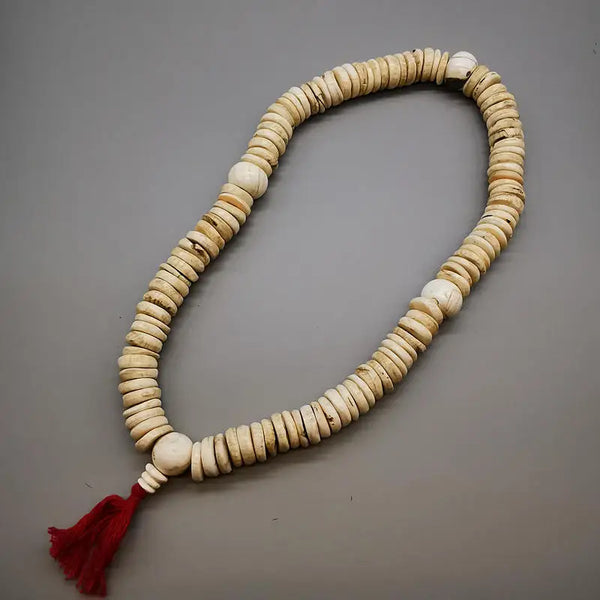 White Conch Shell Coin Beads-ToShay.org
