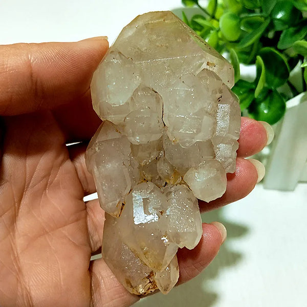 Yellow Mud Sparkling Clusters-ToShay.org