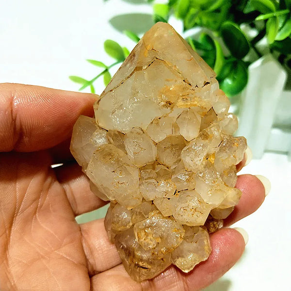 Yellow Mud Sparkling Clusters-ToShay.org