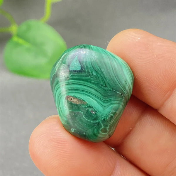 Green Malachite Tumbled Stone-ToShay.org