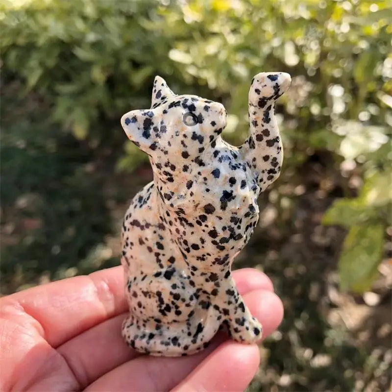 Mixed Crystal Cats-ToShay.org