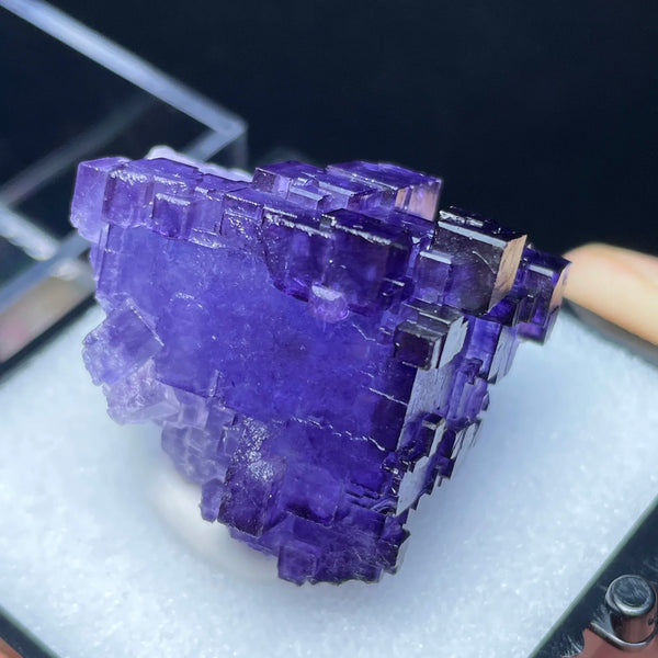 Purple Fluorite Quartz-ToShay.org