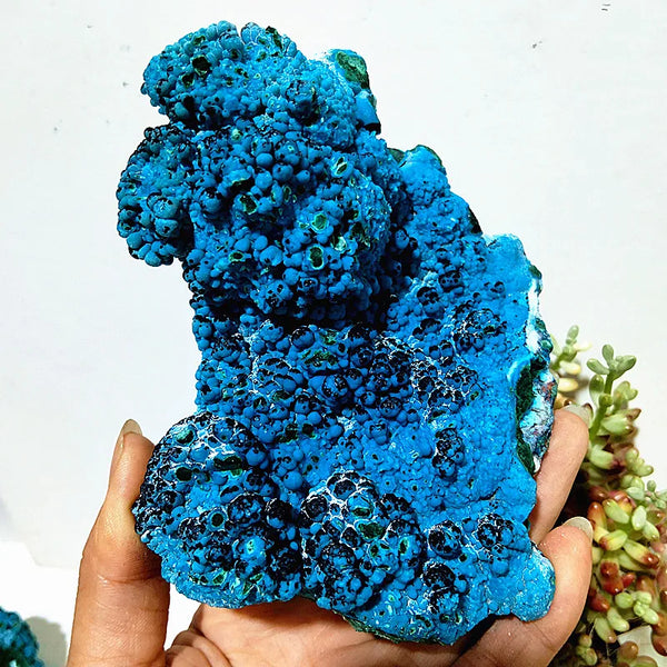Blue Chrysocolla Raw Rock-ToShay.org