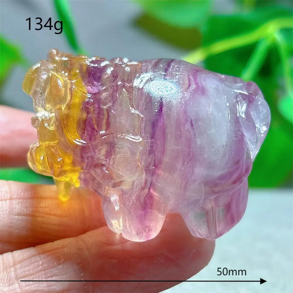 Rainbow Fluorite Dragon Turtle-ToShay.org