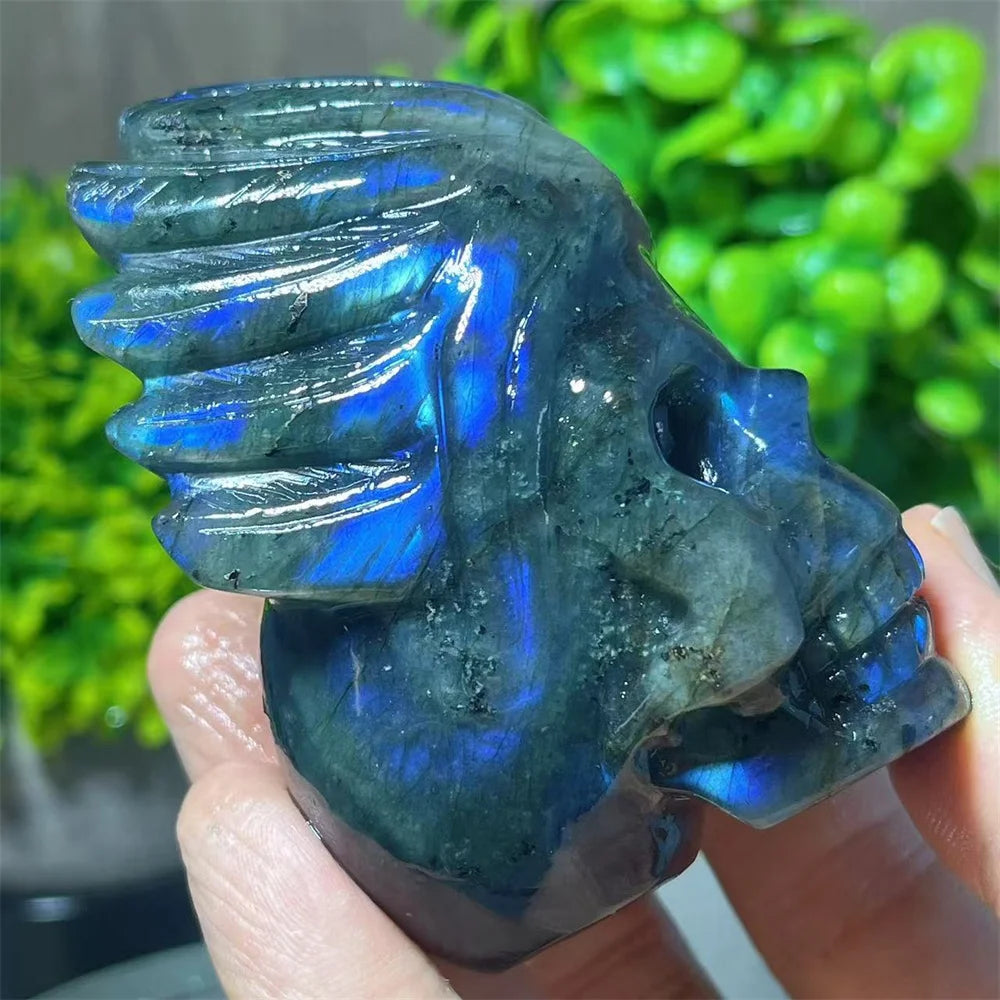Blue Labradorite Feather Skull-ToShay.org