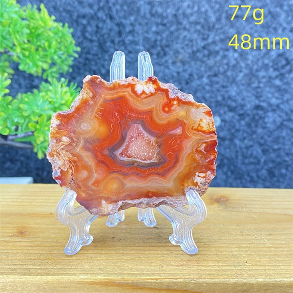 White Agate Geode Slices-ToShay.org