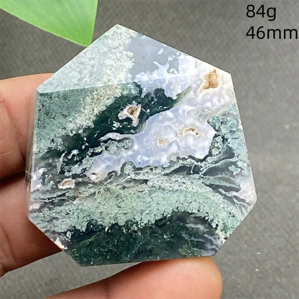 Green Water Plant Agate-ToShay.org