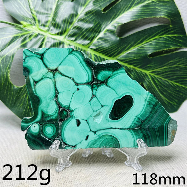 Green Malachite Slice-ToShay.org