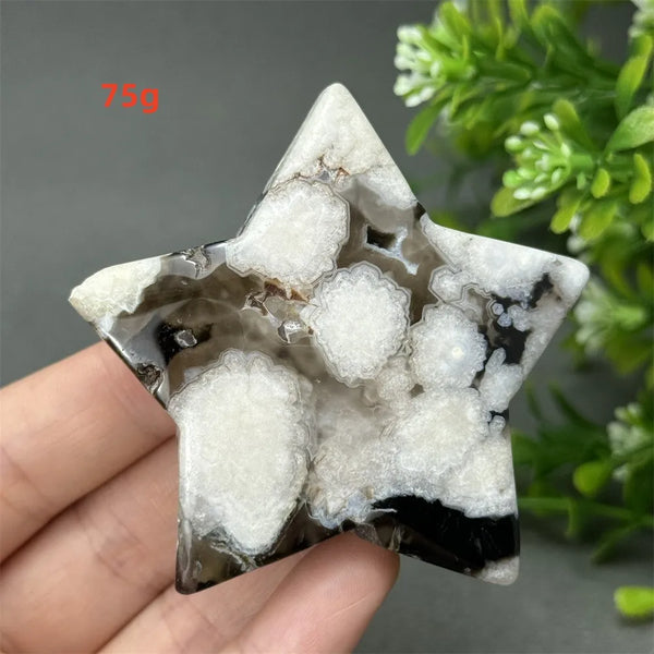Black Cherry Blossom Agate-ToShay.org