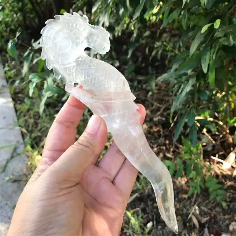 Clear Quartz Seahorse-ToShay.org