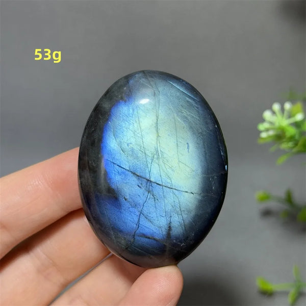 Blue Labrador Palm Stone-ToShay.org