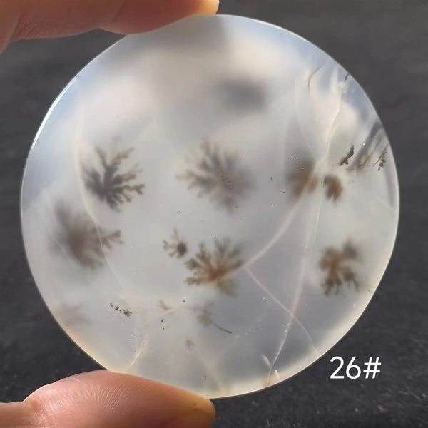 White Onyx Ocean Chalcedony-ToShay.org