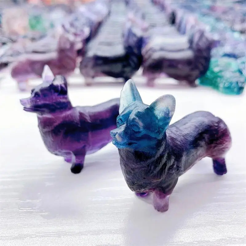 Purple Fluorite Dog-ToShay.org