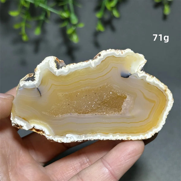 Yellow Agate Slice-ToShay.org