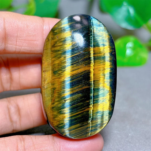 Blue Yellow Tiger Eye-ToShay.org