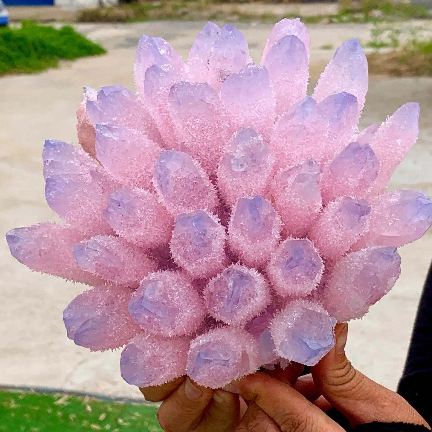 Pink Blue Phantom Cluster-ToShay.org