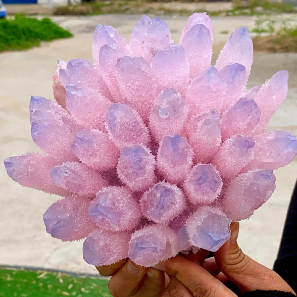 Pink Blue Phantom Cluster-ToShay.org