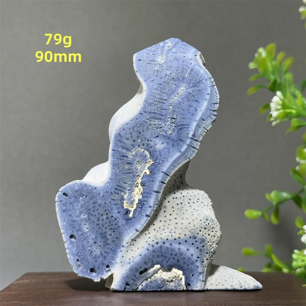 Blue Coral Crystal-ToShay.org