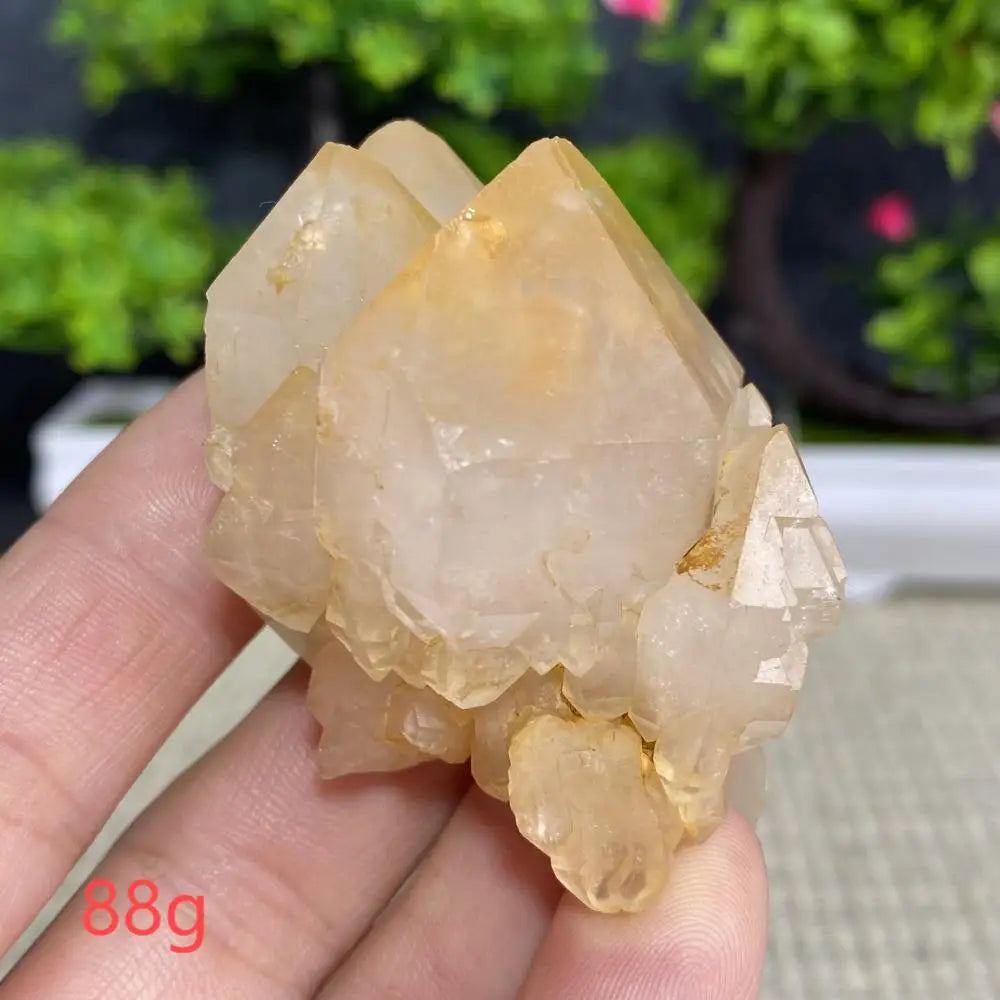 White Quartz Crystal Cluster-ToShay.org