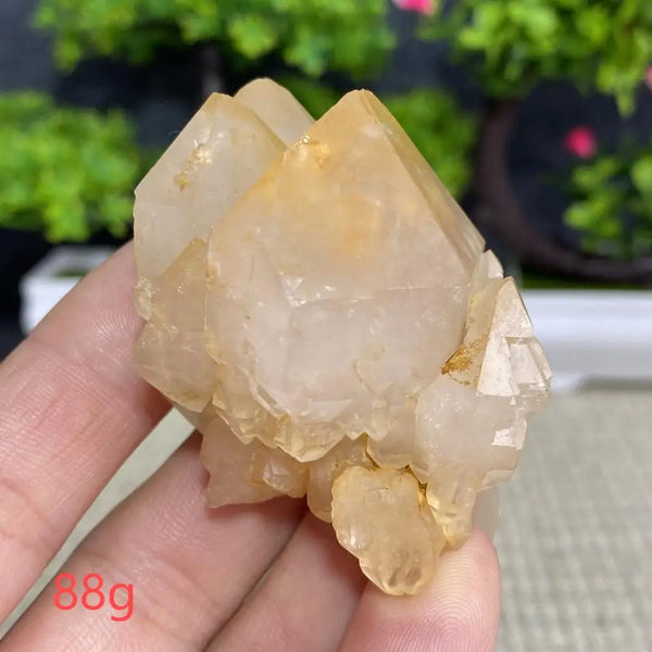 White Quartz Crystal Cluster-ToShay.org