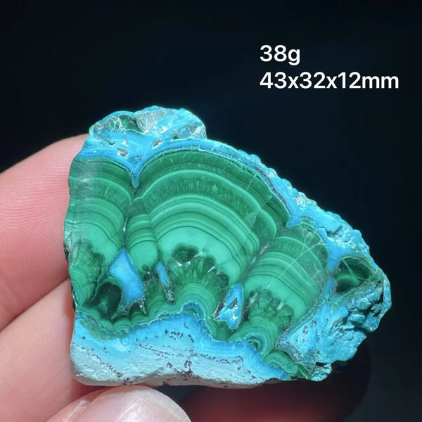 Green Chrysocolla Malachite Slice-ToShay.org
