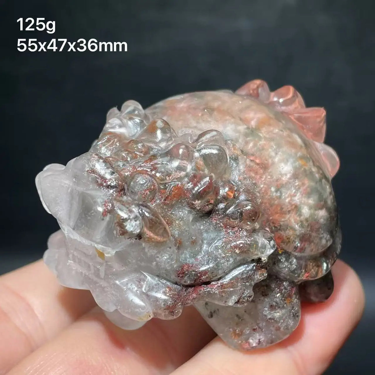 Mixed Crystal Dragon Turtles-ToShay.org