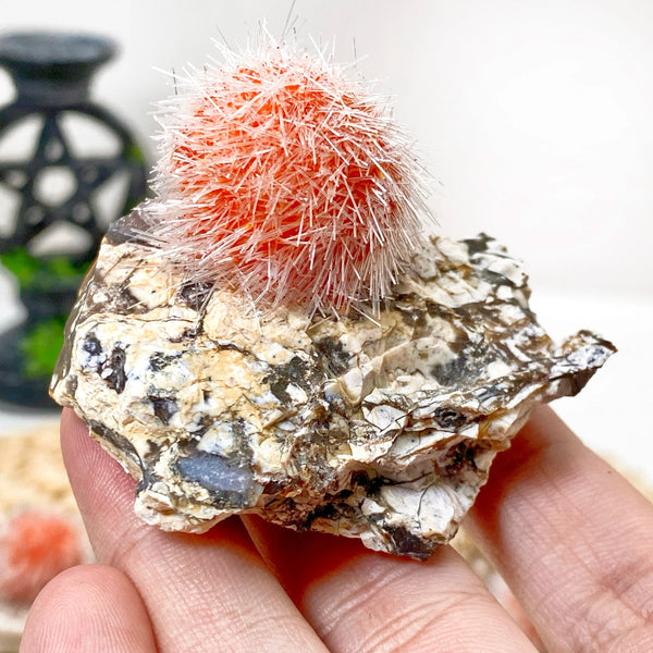 Orange Zeolite Mineral Cluster-ToShay.org