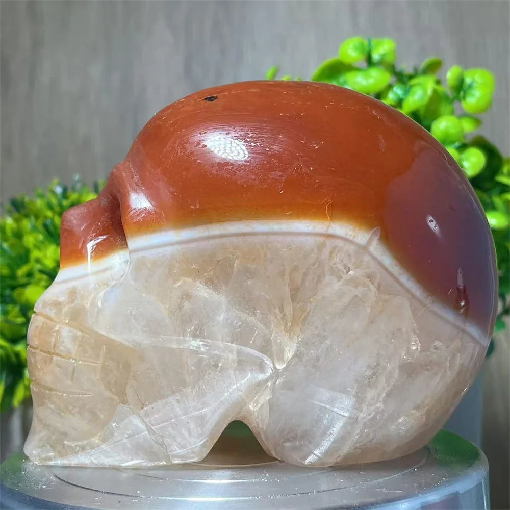 Red Carnelian Skull-ToShay.org