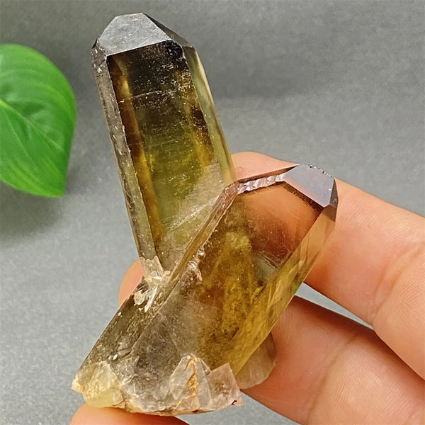 Yellow Black Smoky Quartz-ToShay.org
