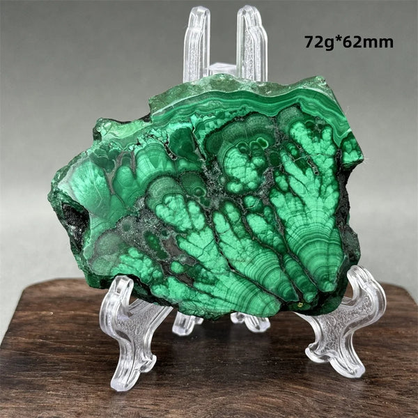 Green Malachite Raw Slice-ToShay.org