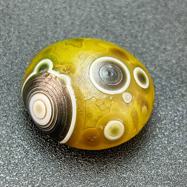 Yellow Flower Eye Agate-ToShay.org