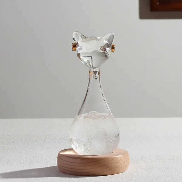 Cat Storm Bottle-ToShay.org