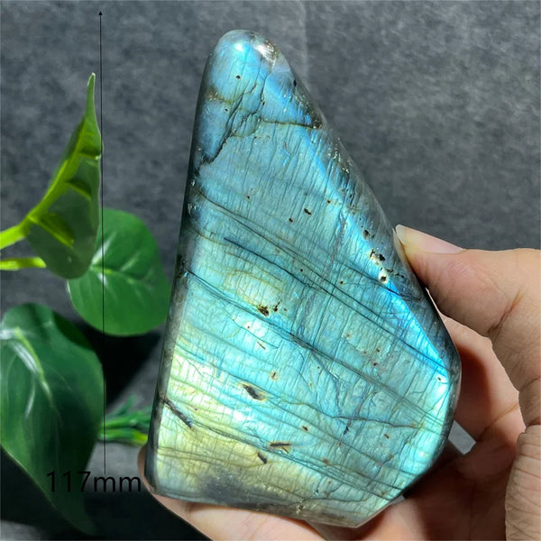 Blue Labradorite Crystal-ToShay.org