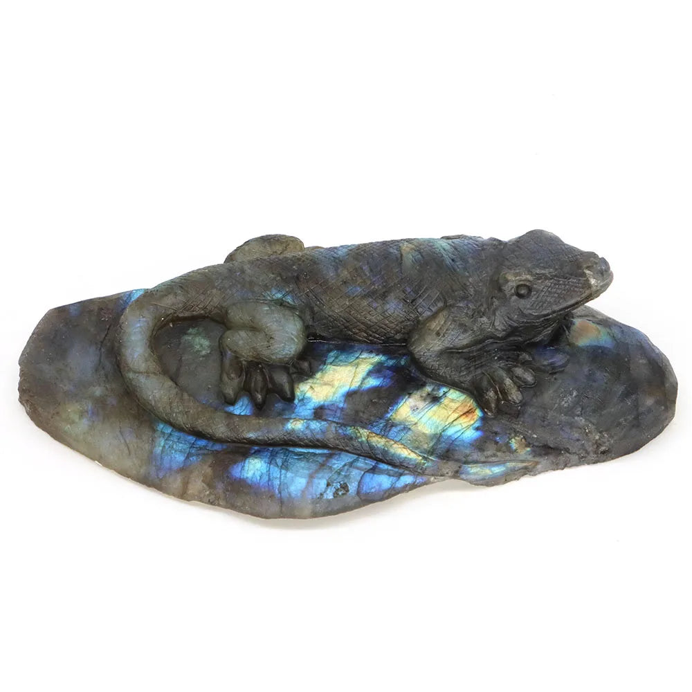 Blue Labradorite Gecko-ToShay.org