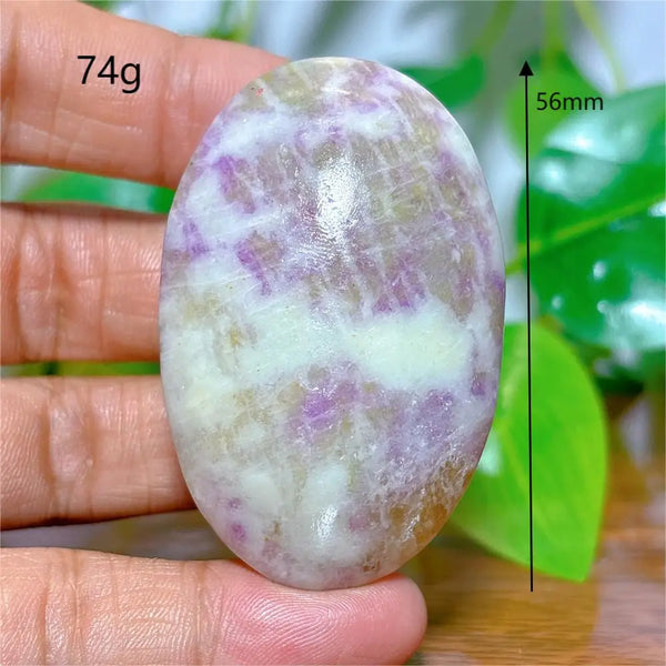 Rainbow Sodalite Palm Stone-ToShay.org