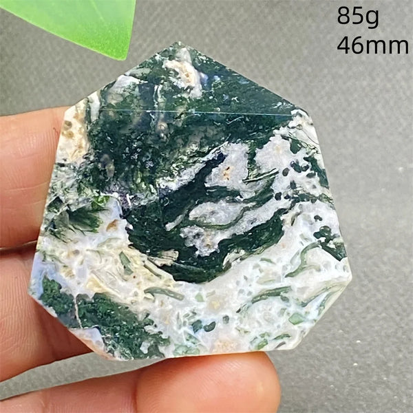 Green Water Plant Agate-ToShay.org