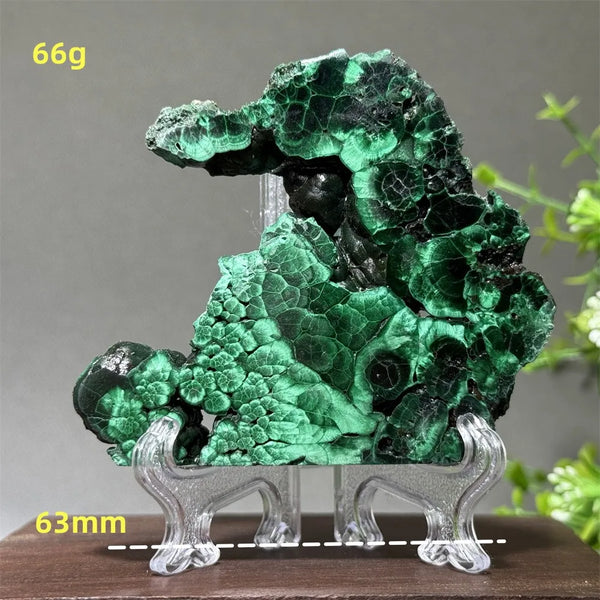 Green Malachite Slice-ToShay.org