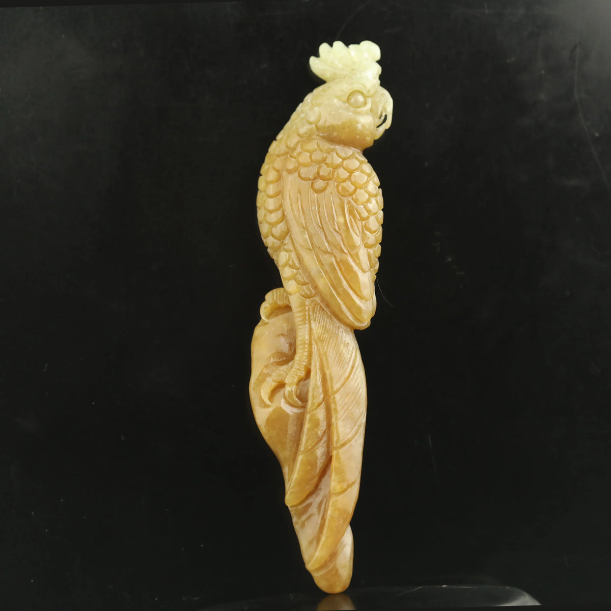 Yellow Jade Parrot-ToShay.org