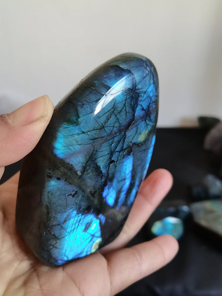 Blue Labrador Quartz Crystal-ToShay.org