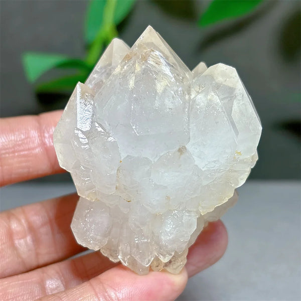 Clear Lotus Backbone Quartz Cluster-ToShay.org
