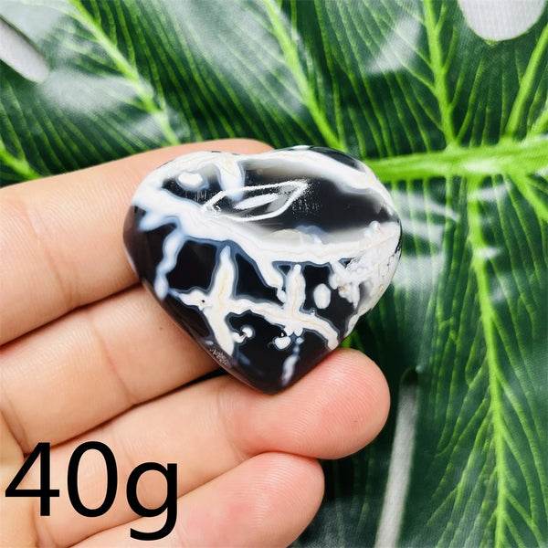 Black White Orca Agate-ToShay.org