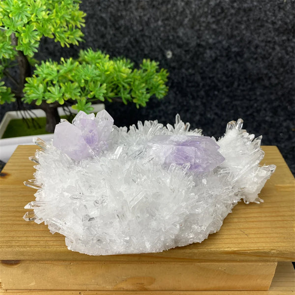 White Crystal Quartz-ToShay.org