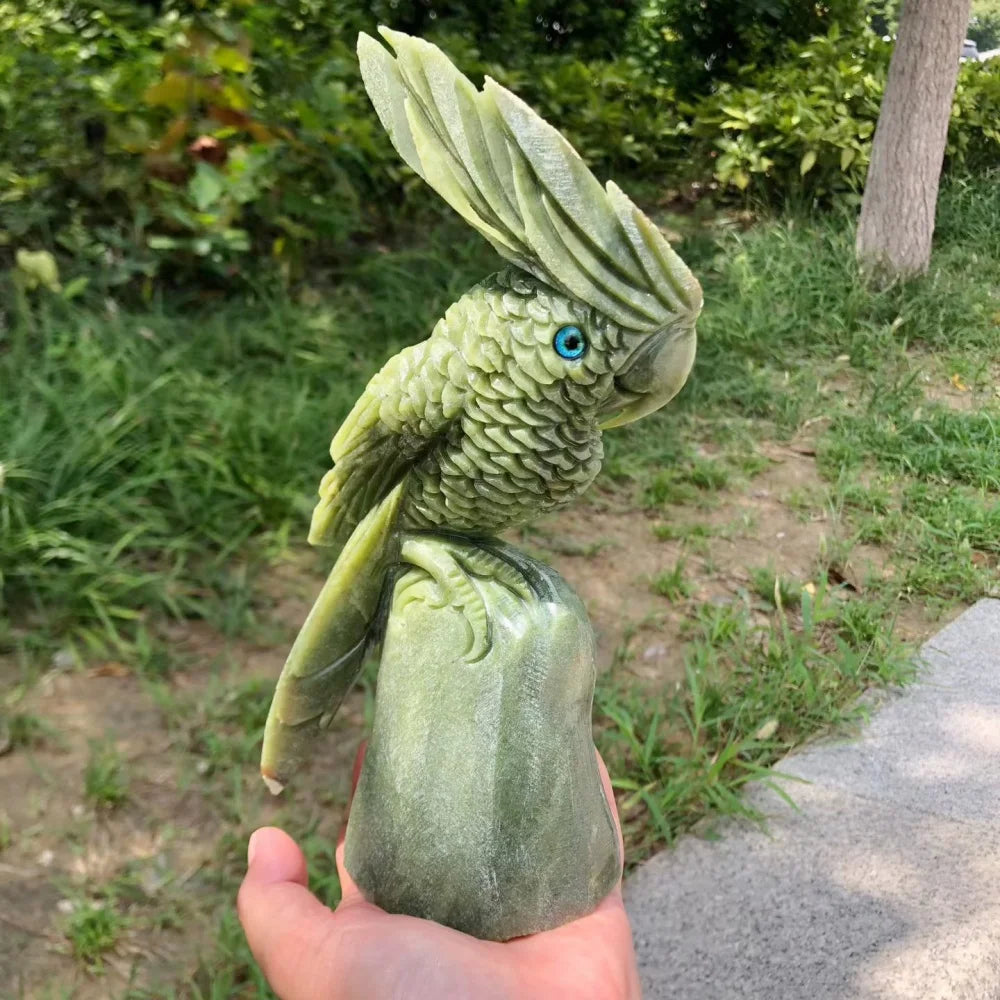 Green Jade Cockatiel Parrot-ToShay.org